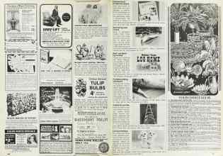 Better Homes & Gardens October 1979 Magazine Article: Page 230