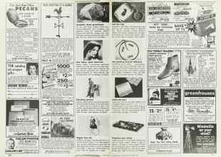Better Homes & Gardens October 1979 Magazine Article: Page 236