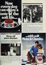 Better Homes & Gardens November 1979 Magazine Article: Show-off plant displays