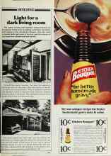 Better Homes & Gardens November 1979 Magazine Article: Light for a dark living room