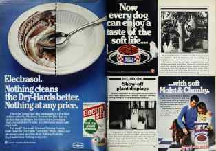 Better Homes & Gardens November 1979 Magazine Article: Page 152