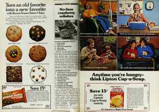 Better Homes & Gardens November 1979 Magazine Article: Page 214