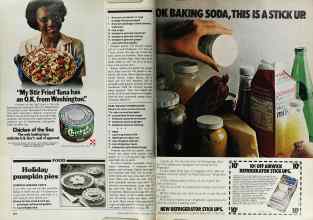 Better Homes & Gardens November 1979 Magazine Article: Page 224
