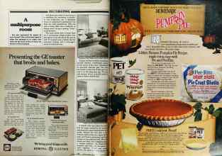 Better Homes & Gardens November 1979 Magazine Article: Page 228