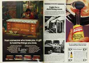 Better Homes & Gardens November 1979 Magazine Article: Page 242