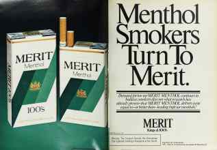 Better Homes & Gardens November 1979 Magazine Article: Page 246