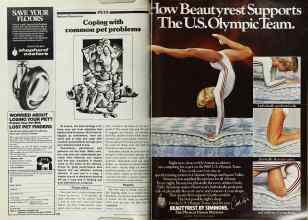 Better Homes & Gardens November 1979 Magazine Article: Page 252