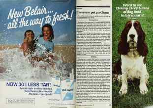 Better Homes & Gardens November 1979 Magazine Article: Page 254