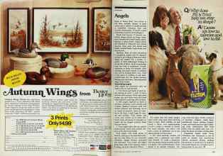 Better Homes & Gardens November 1979 Magazine Article: Page 266