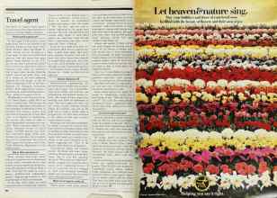 Better Homes & Gardens November 1979 Magazine Article: Page 290