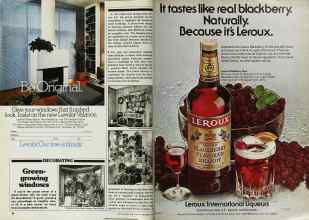 Better Homes & Gardens December 1979 Magazine Article: Page 28