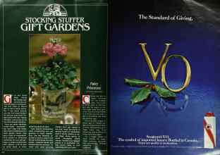 Better Homes & Gardens December 1979 Magazine Article: Page 44