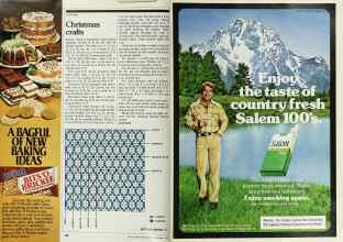 Better Homes & Gardens December 1979 Magazine Article: Page 168