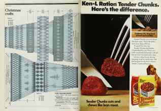 Better Homes & Gardens December 1979 Magazine Article: Page 170