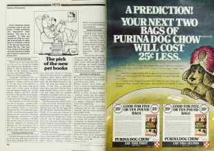 Better Homes & Gardens December 1979 Magazine Article: Page 182