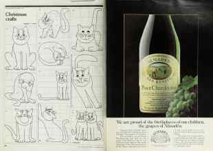 Better Homes & Gardens December 1979 Magazine Article: Page 184