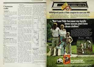 Better Homes & Gardens December 1979 Magazine Article: Page 196