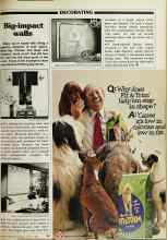 Better Homes & Gardens January 1980 Magazine Article: Big-impact walls