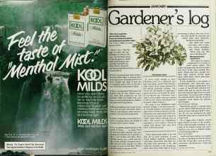 Better Homes & Gardens January 1980 Magazine Article: Page 110