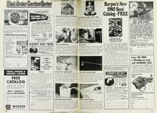 Better Homes & Gardens January 1980 Magazine Article: Page 146