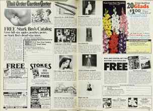 Better Homes & Gardens January 1980 Magazine Article: Page 148