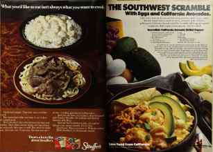 Better Homes & Gardens February 1980 Magazine Article: Page 16