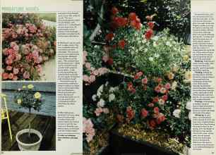 Better Homes & Gardens February 1980 Magazine Article: Page 110