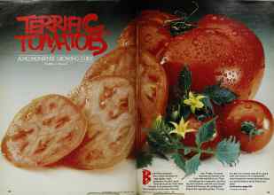 Better Homes & Gardens February 1980 Magazine Article: TERRIFIC TOMATOES