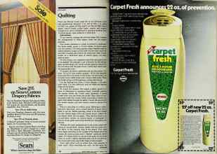 Better Homes & Gardens February 1980 Magazine Article: Page 162