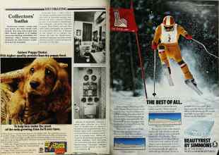 Better Homes & Gardens February 1980 Magazine Article: Page 166
