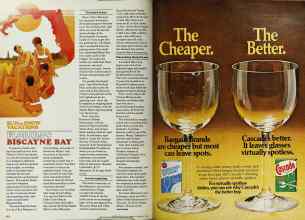 Better Homes & Gardens February 1980 Magazine Article: Page 172