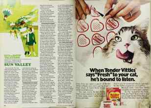 Better Homes & Gardens February 1980 Magazine Article: Page 178