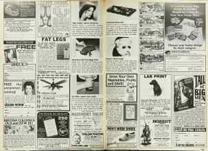 Better Homes & Gardens February 1980 Magazine Article: Page 198