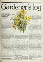 Better Homes & Gardens March 1980 Magazine Article: Gardener's log