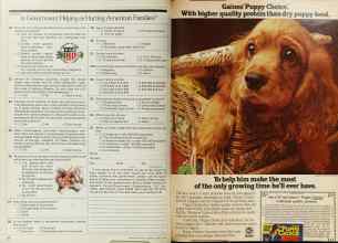 Better Homes & Gardens March 1980 Magazine Article: Page 22