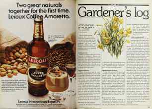 Better Homes & Gardens March 1980 Magazine Article: Page 114