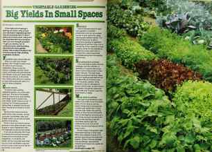 Better Homes & Gardens from 1980 | Big Yields In Small Spaces
