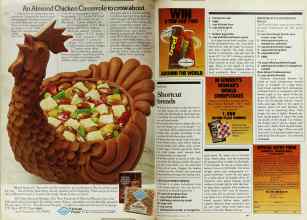 Better Homes & Gardens March 1980 Magazine Article: Page 146