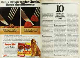 Better Homes & Gardens March 1980 Magazine Article: Page 184