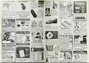Better Homes & Gardens March 1980 Magazine Article: Page 224