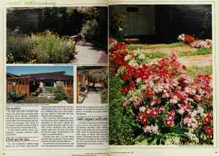 Better Homes & Gardens April 1980 Magazine Article: Page 44