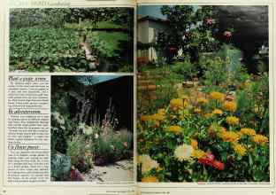 Better Homes & Gardens April 1980 Magazine Article: Page 46