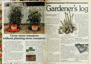 Better Homes & Gardens April 1980 Magazine Article: Page 78