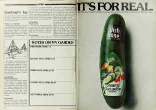 Better Homes & Gardens April 1980 Magazine Article: Page 82