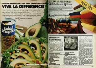 Better Homes & Gardens April 1980 Magazine Article: Page 172