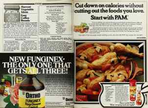 Better Homes & Gardens April 1980 Magazine Article: Page 174