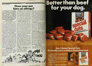 Better Homes & Gardens April 1980 Magazine Article: Page 176