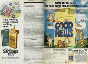 Better Homes & Gardens April 1980 Magazine Article: Page 178