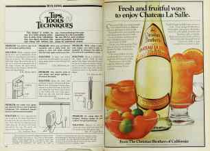 Better Homes & Gardens April 1980 Magazine Article: Page 180