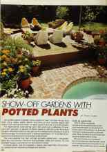 Better Homes & Gardens May 1980 Magazine Article: SHOW-OFF GARDENS WITH POTTED PLANTS